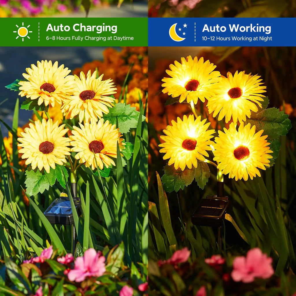 Solar Outdoor Garden Lights, 16 (4 pack)Glowing Daisy Flowers