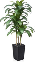 Yucca Tropical Plant  6FT Fake Tree With White Taper Planter & Pebbles UV Resistant