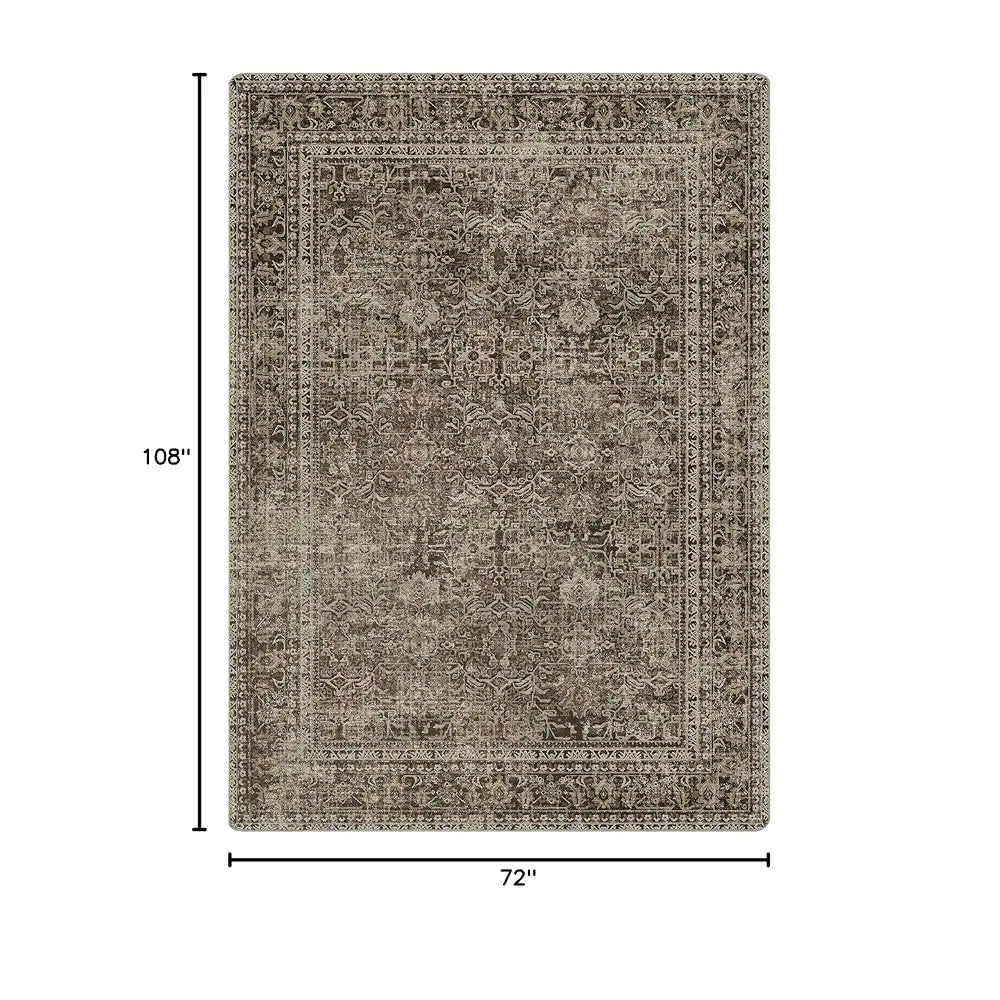 Area Rugs 6X9 For Living Room Bedroom, Vintage