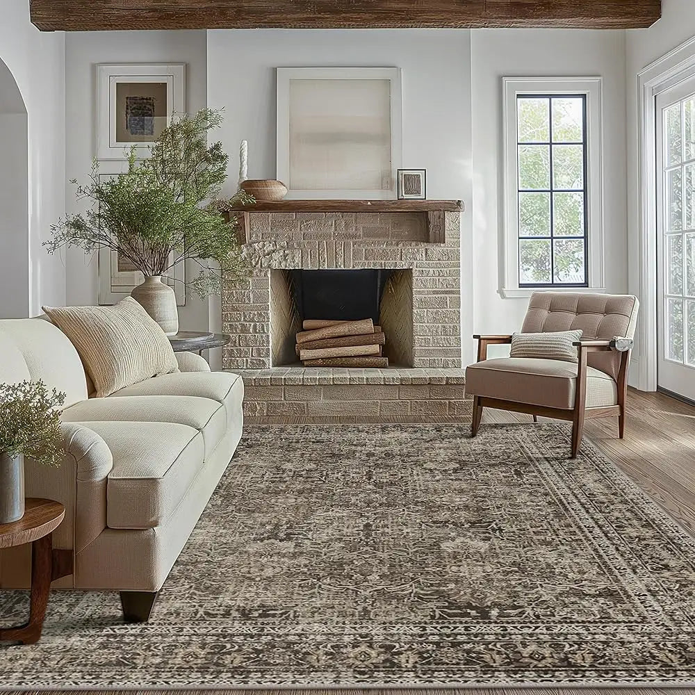 Area Rugs 6X9 For Living Room Bedroom, Vintage