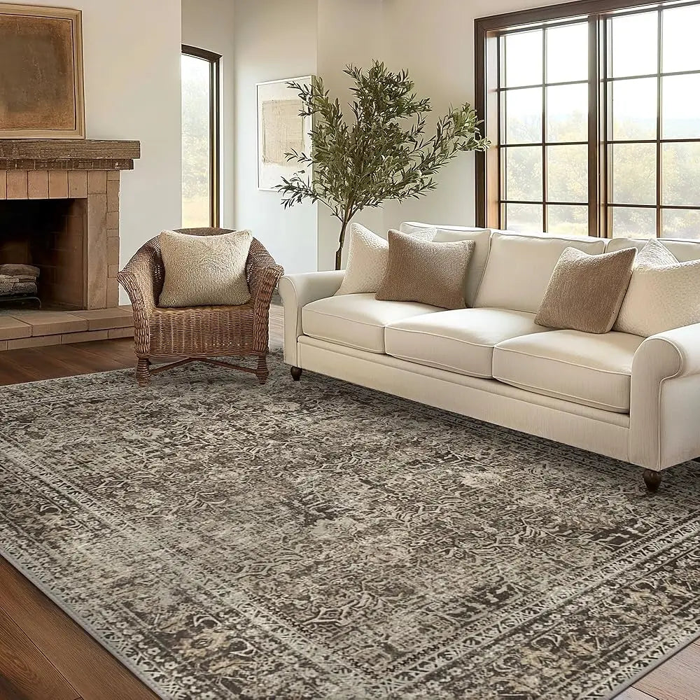 Area Rugs 6X9 For Living Room Bedroom, Vintage