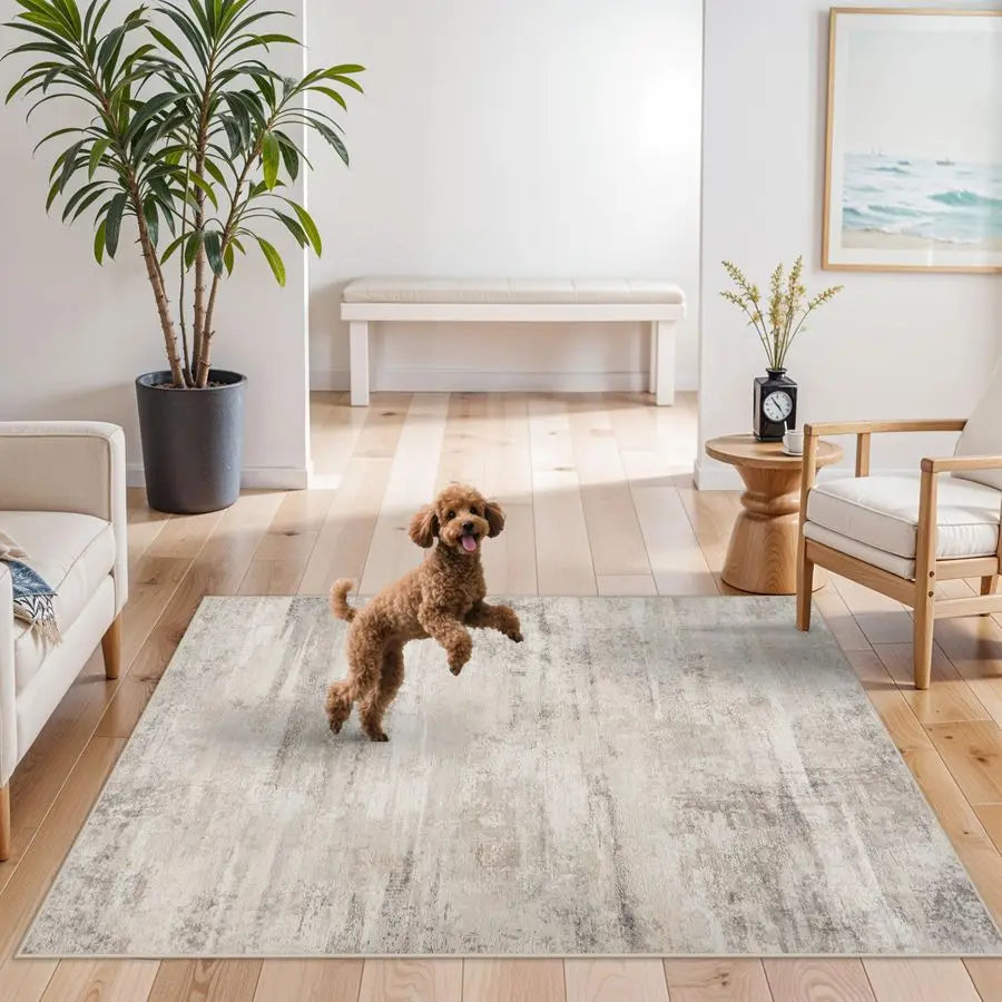 Rugs 4x6 for Living Room Washable